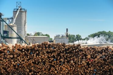Canfor Pulp Ltd., Northwood, Kanada
